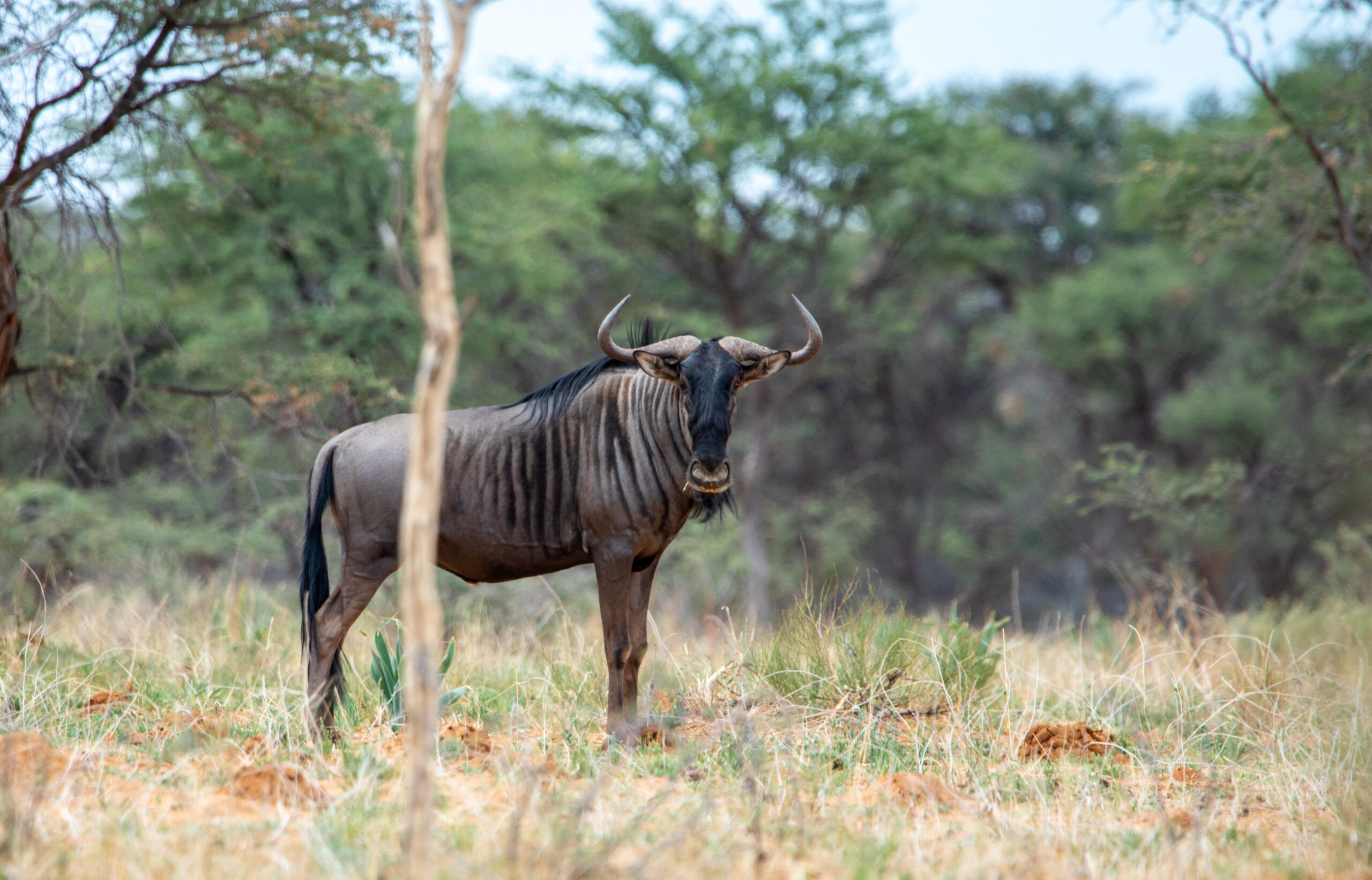 20230115SVAL6531 2 – Copy