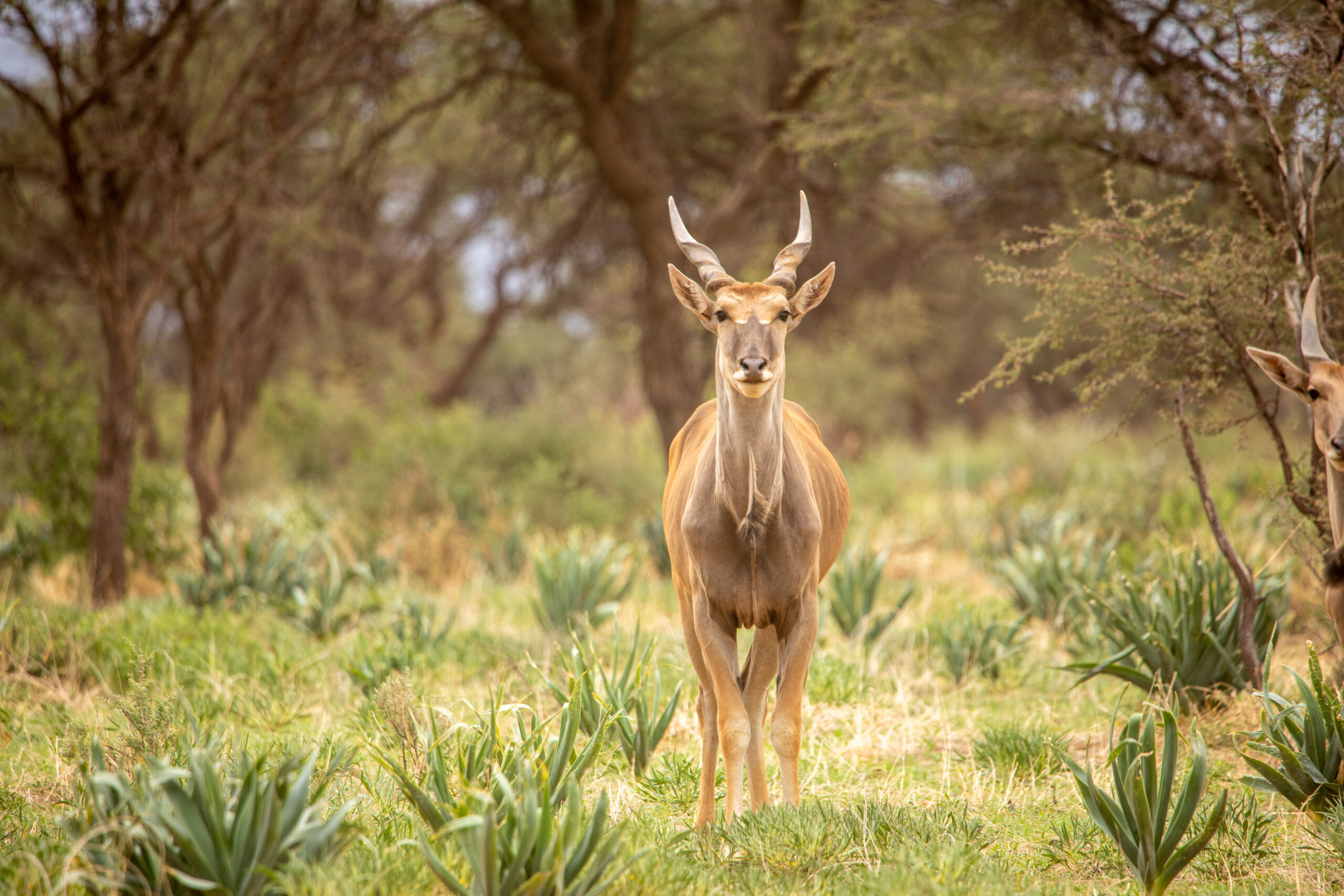 20230115SVAL6601 2 – Copy