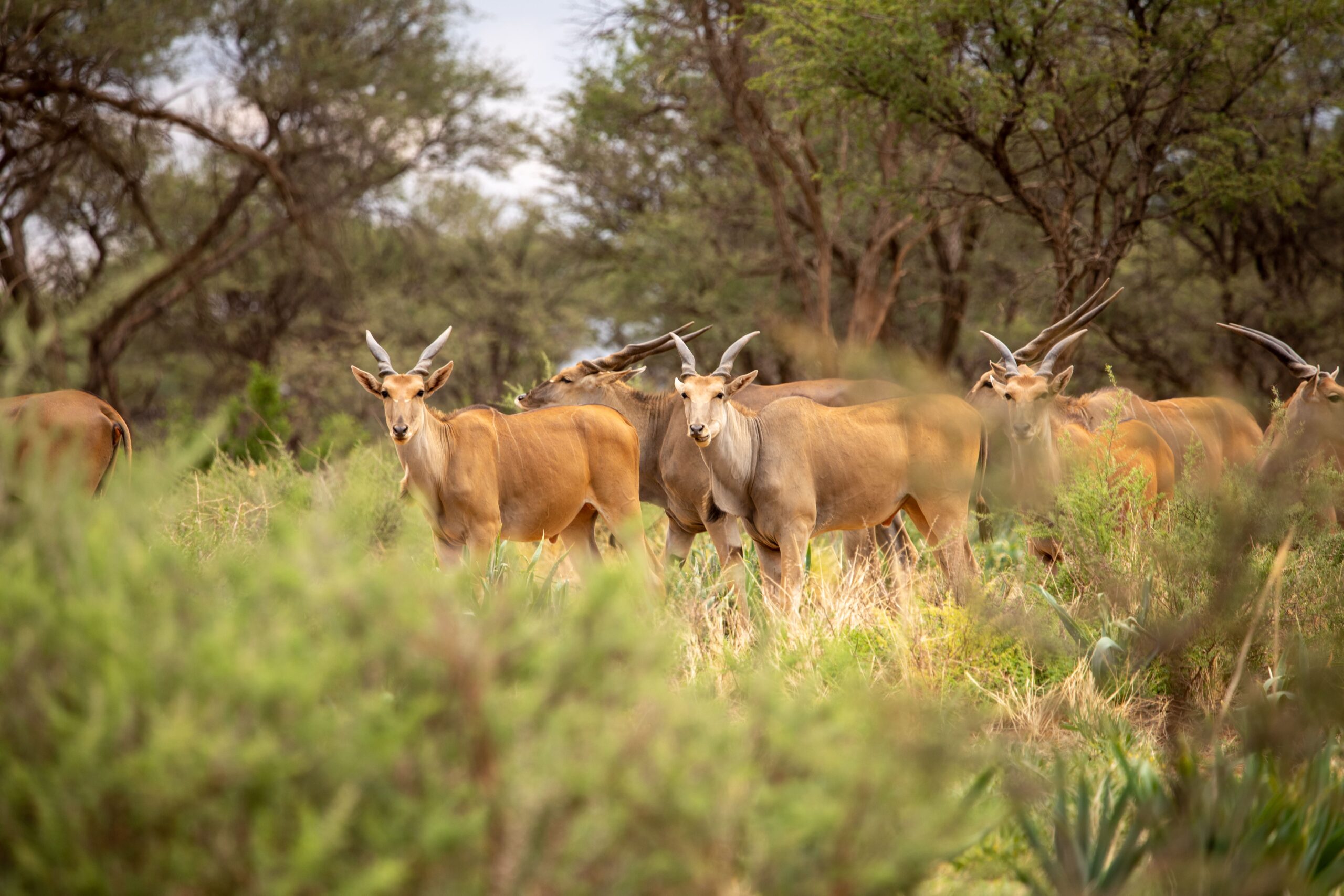 20230115SVAL6666 – Copy