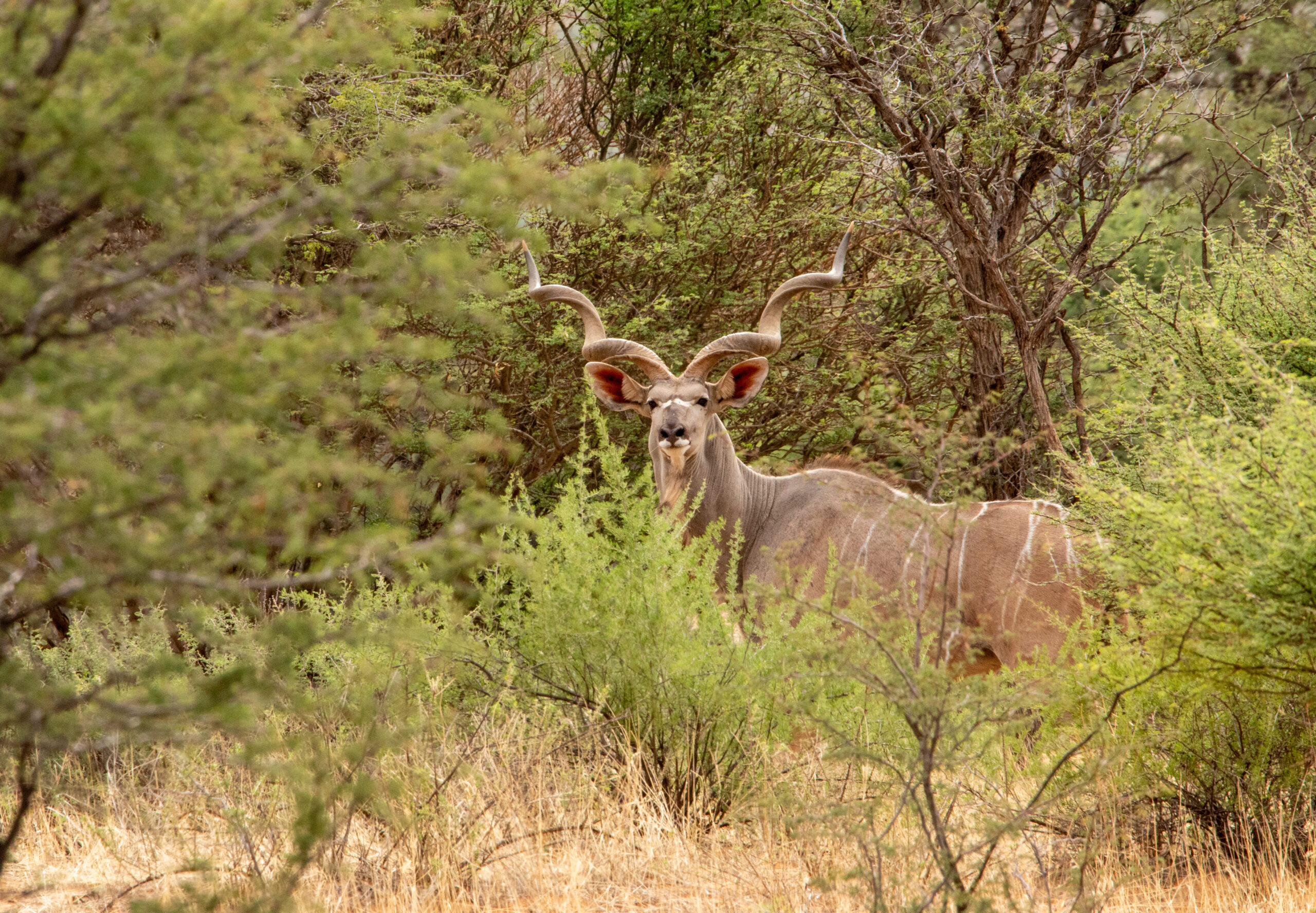 20230115SVAL6771 2 – Copy