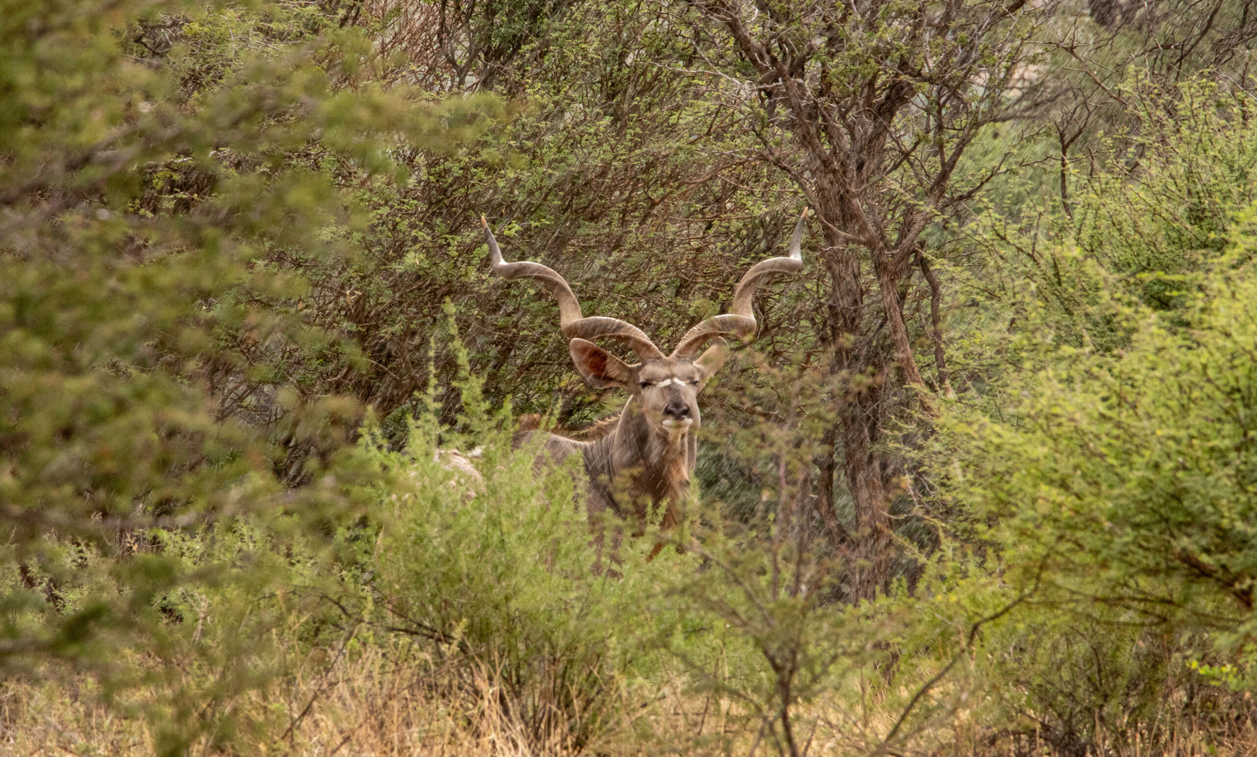 20230115SVAL6795 – Copy