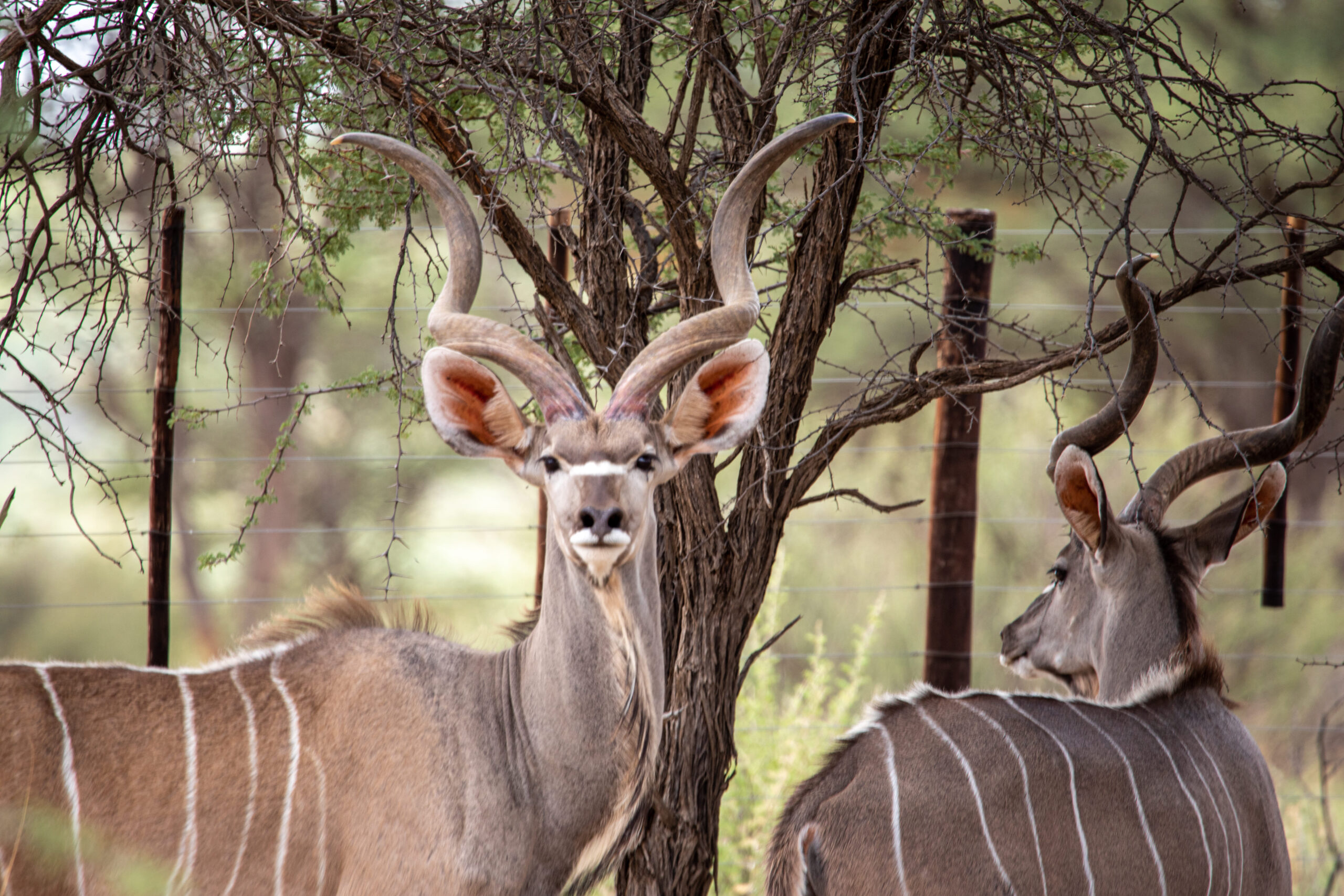 20230117SVAL6981 2 – Copy