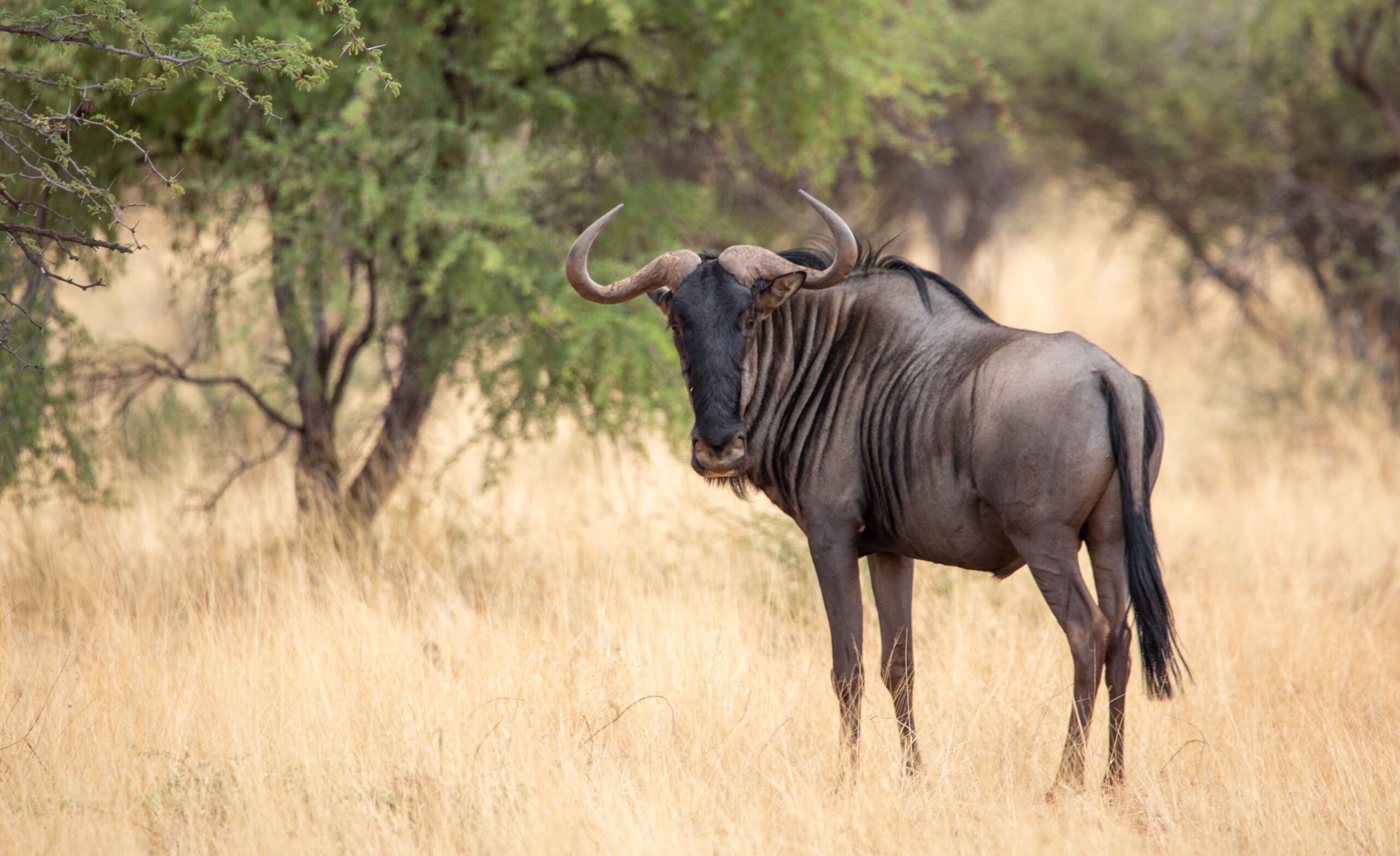 20230117SVAL7047 – Copy