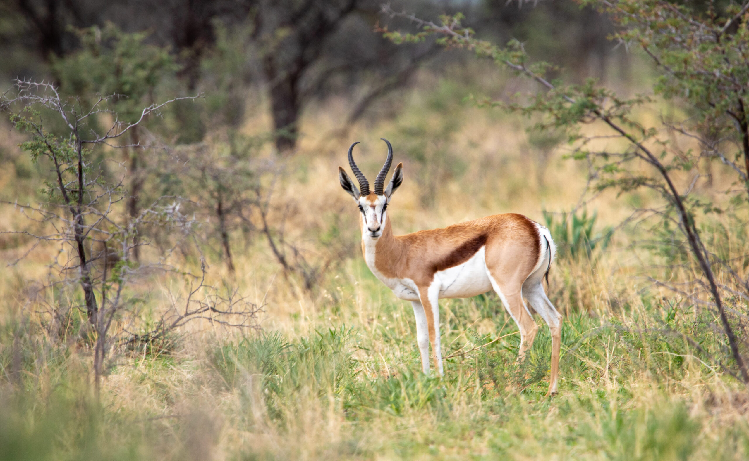 20230117SVAL7061 2 – Copy