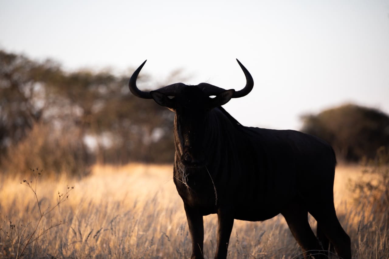 3F1A4655 Large 2 – Copy