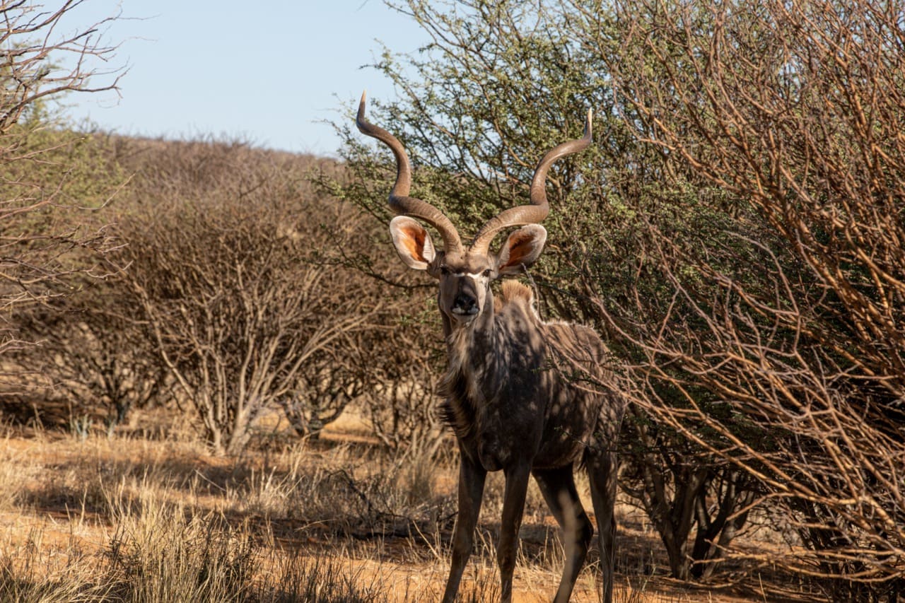 3F1A7963 Large 2 – Copy