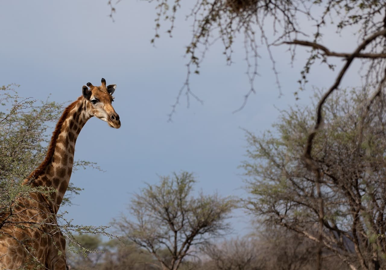 3F1A9400 Large 2 – Copy