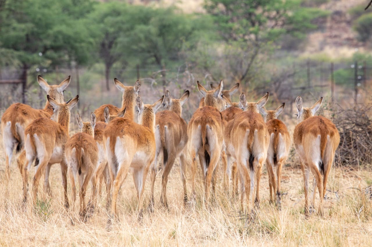 Breakfast-18 Large – Copy