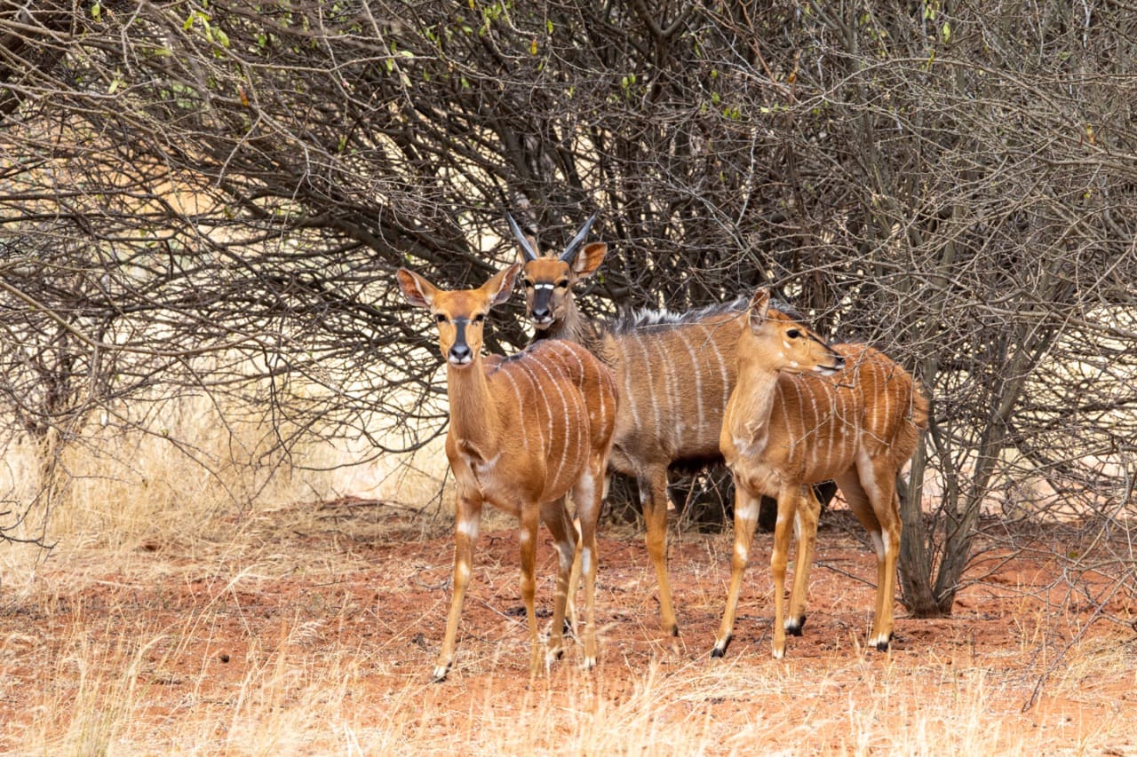 Breakfast-8 Large – Copy
