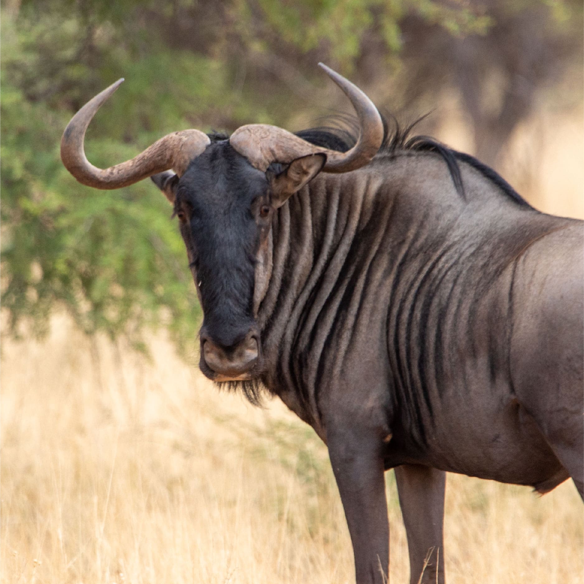 Klawerberg Gallery-05 – Copy