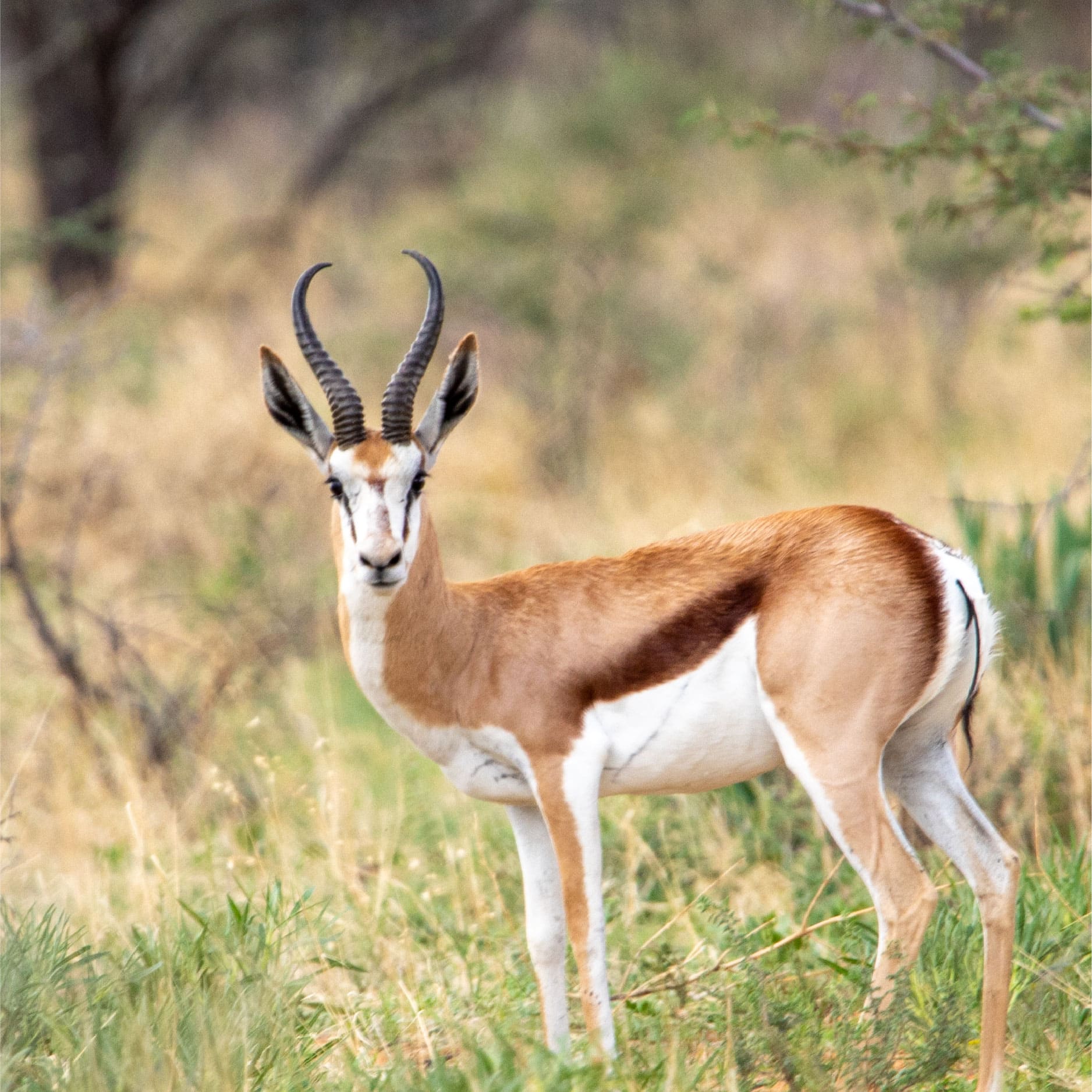 Klawerberg Gallery-06 2