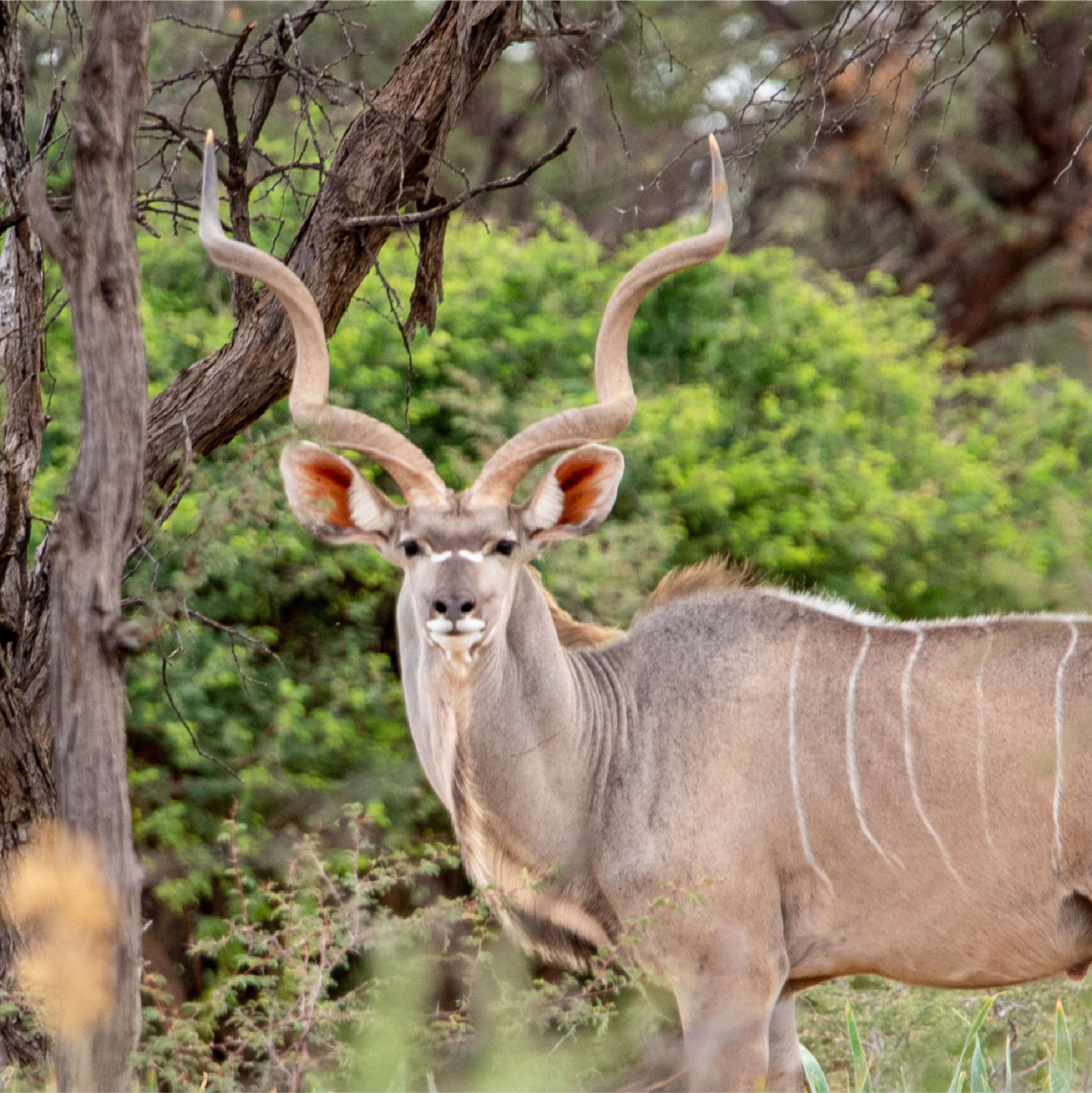 Klawerberg Gallery-07 2