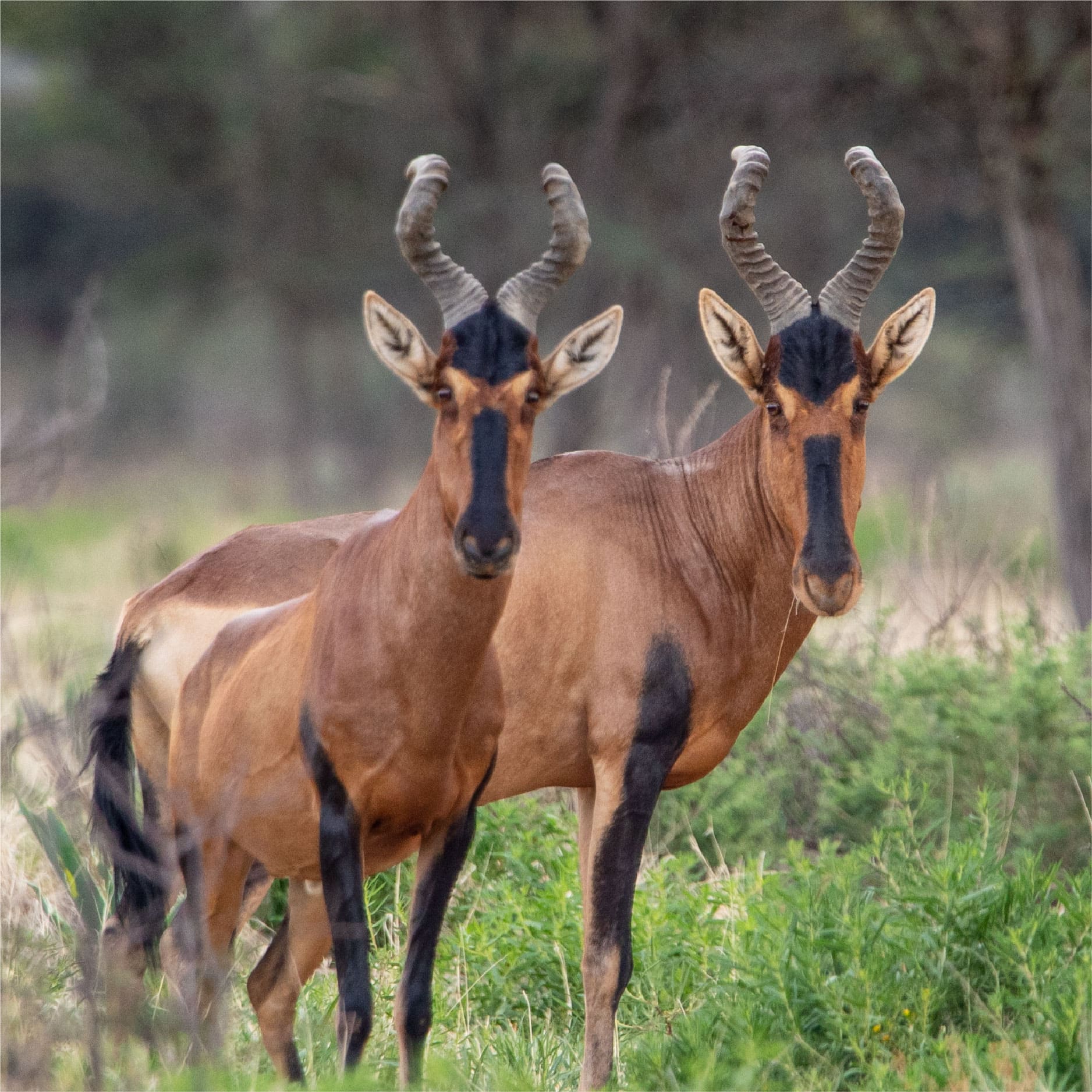 Klawerberg Gallery-08 2