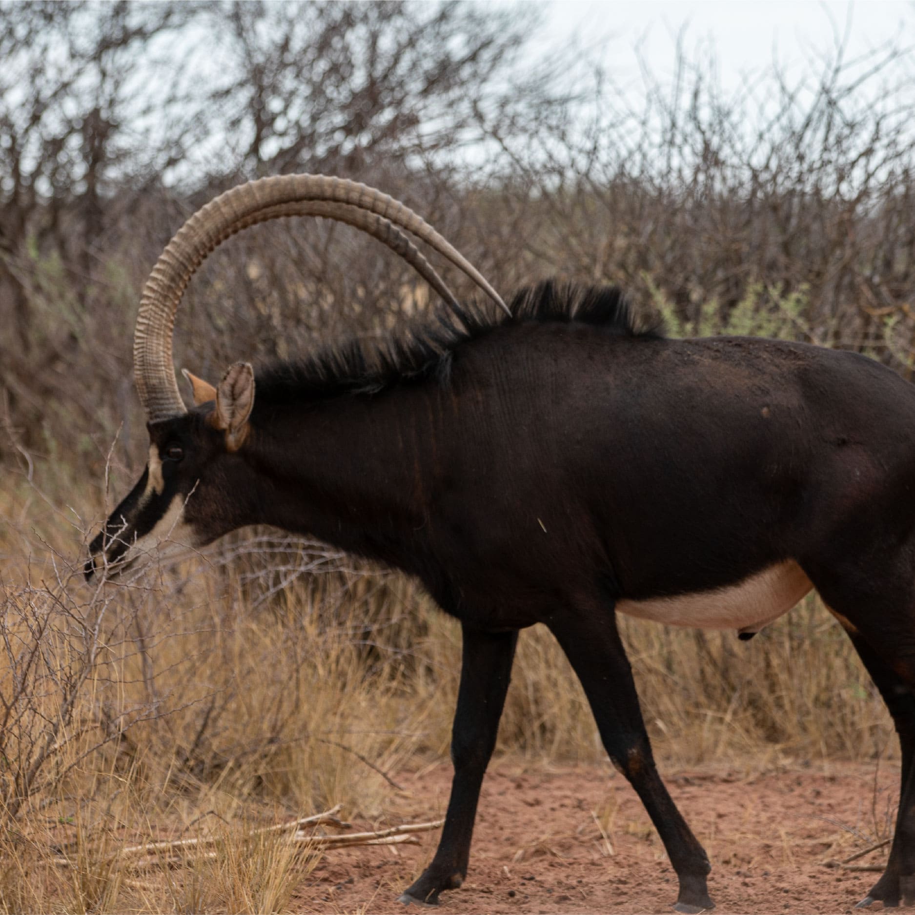 Klawerberg Gallery-10 2