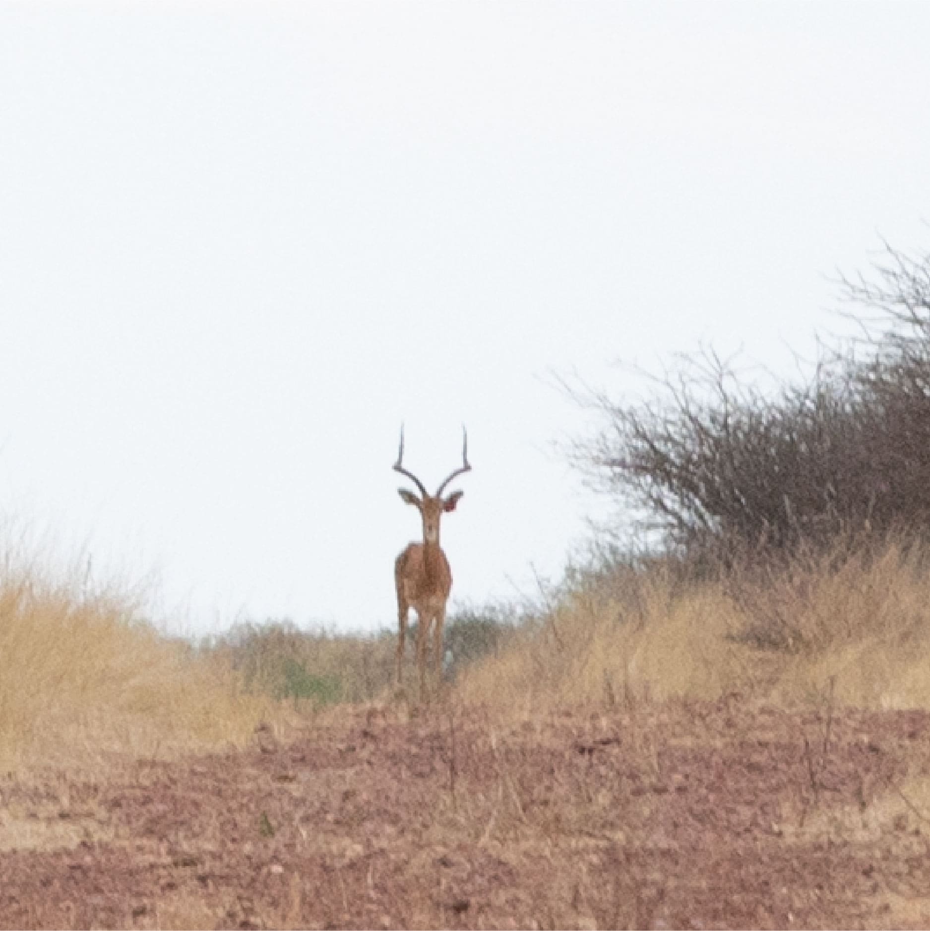 Klawerberg Gallery-13 2