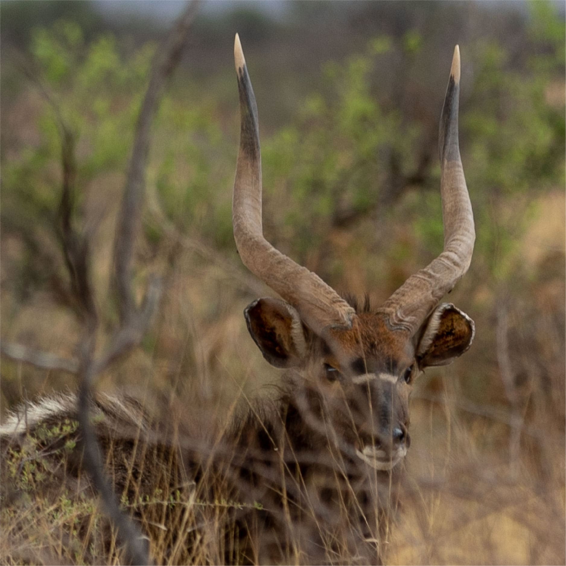 Klawerberg Gallery-15 2