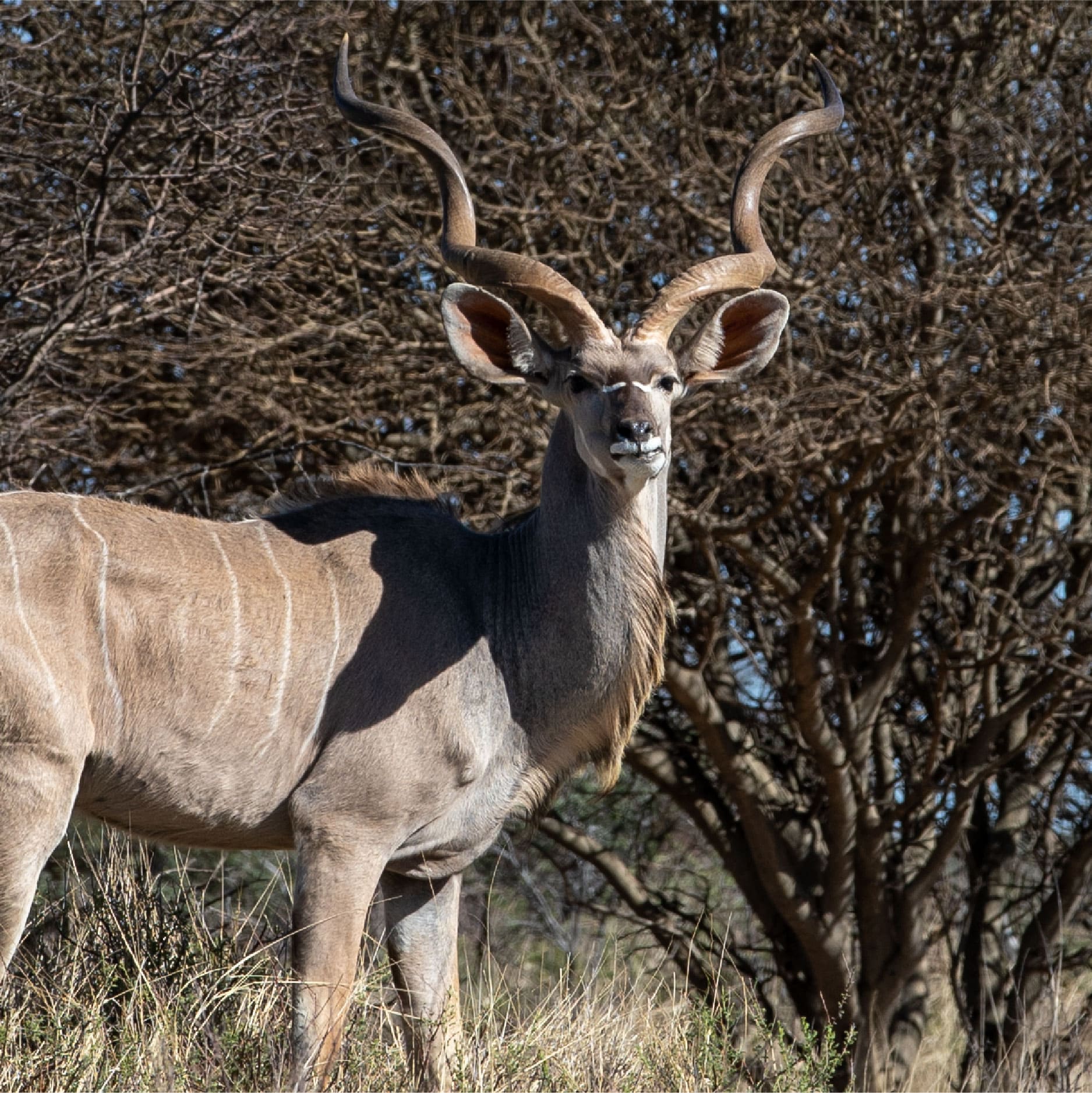 Klawerberg Gallery-16