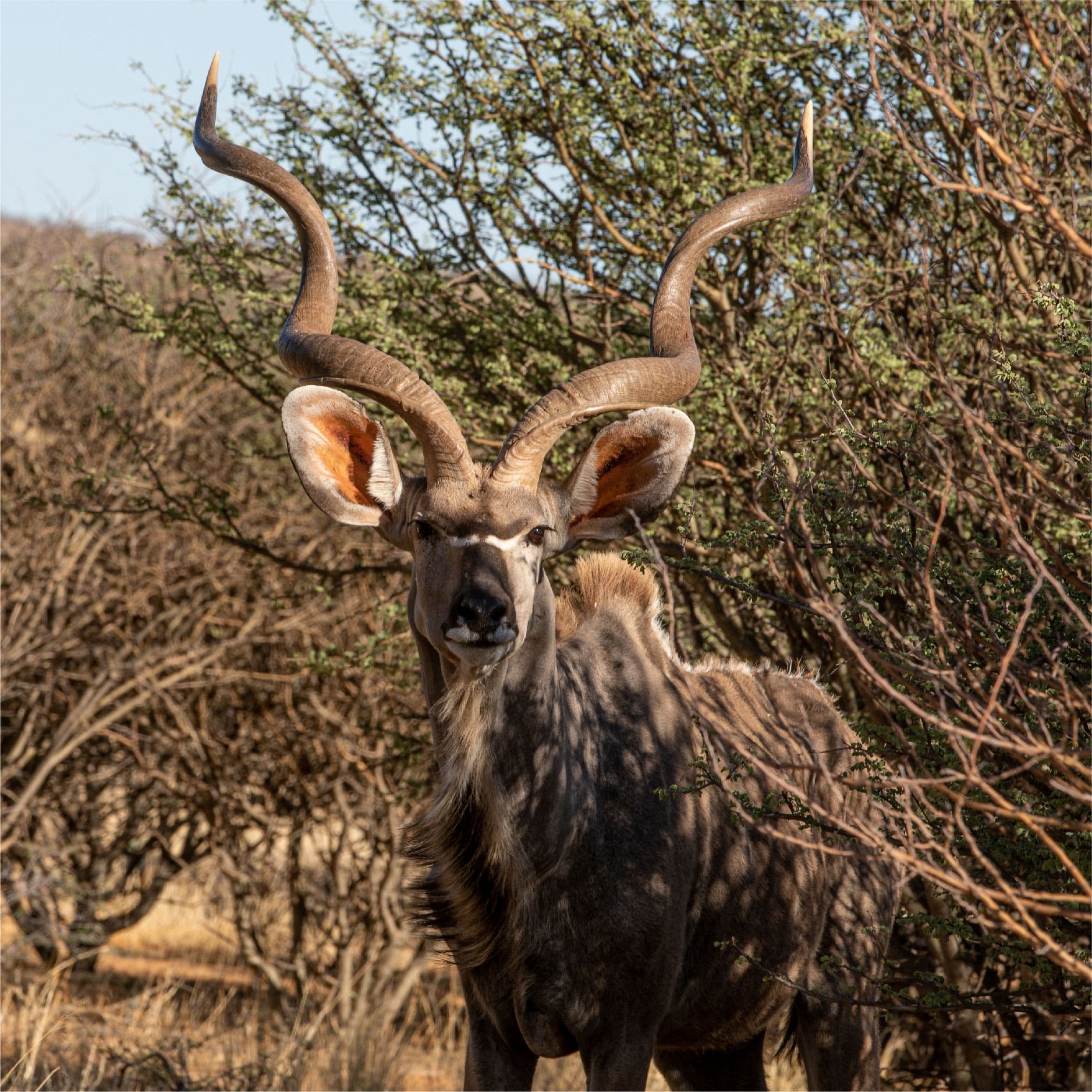 Klawerberg Gallery-17 2