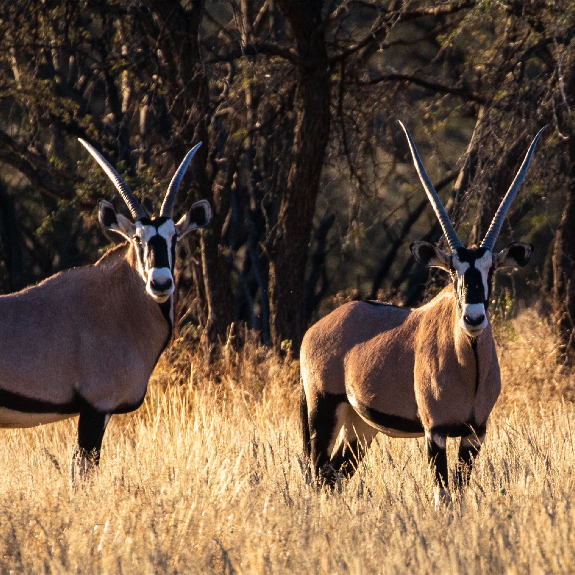 Klawerberg Gallery-25 2