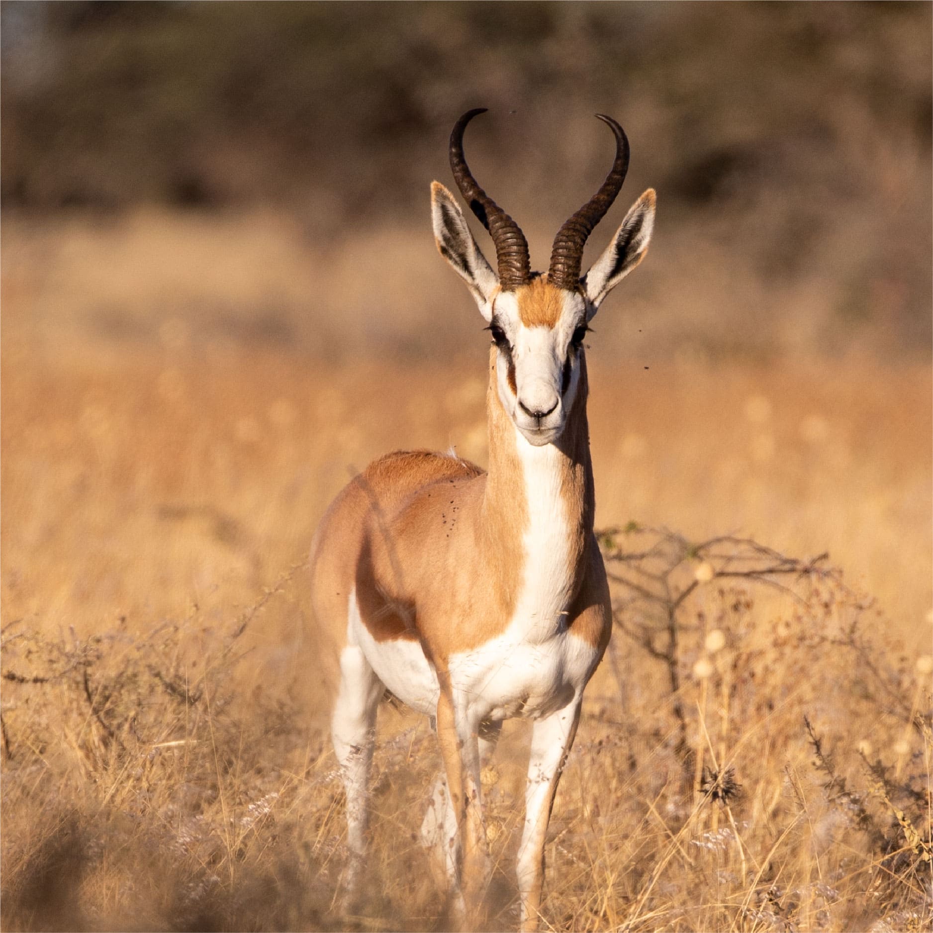 Klawerberg Gallery-26 2