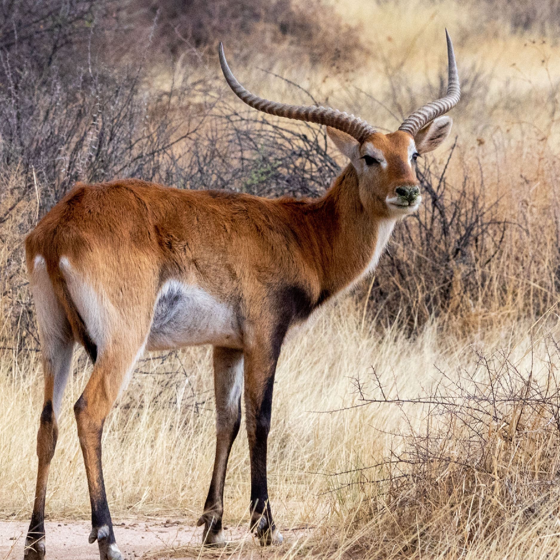 Klawerberg Gallery-31-01