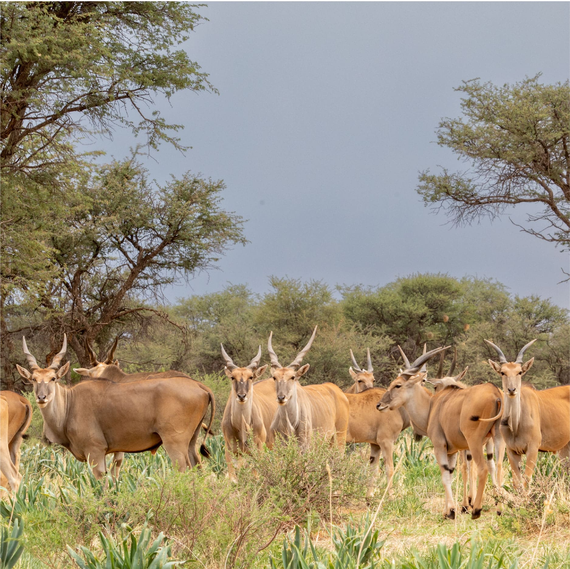 Klawerberg Gallery-31-05