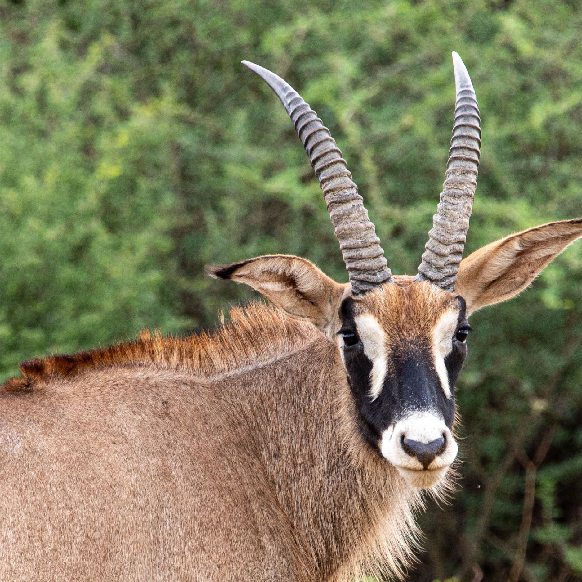 Klawerberg Gallery-31-06 2