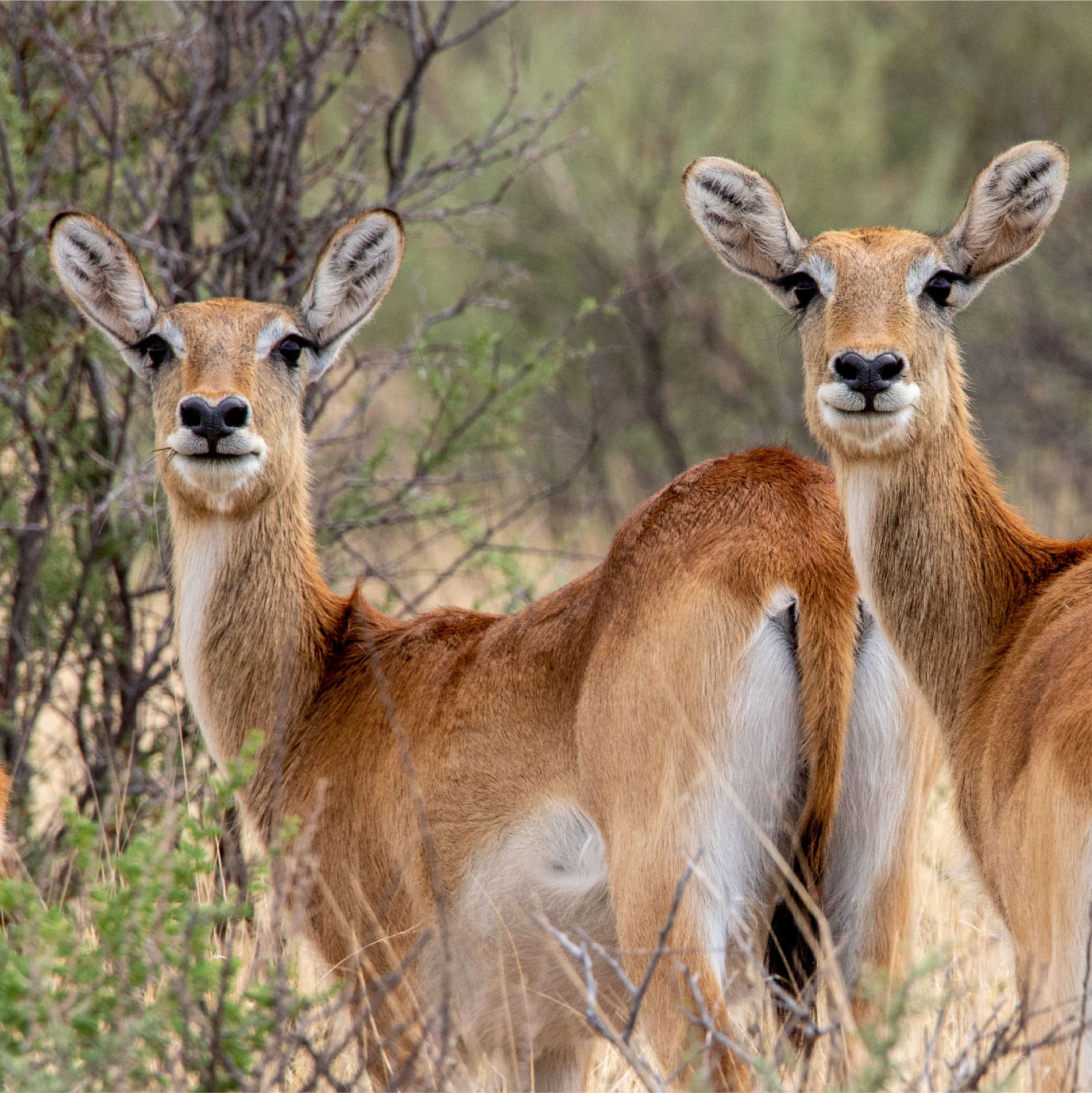 Klawerberg Gallery-31-07 2