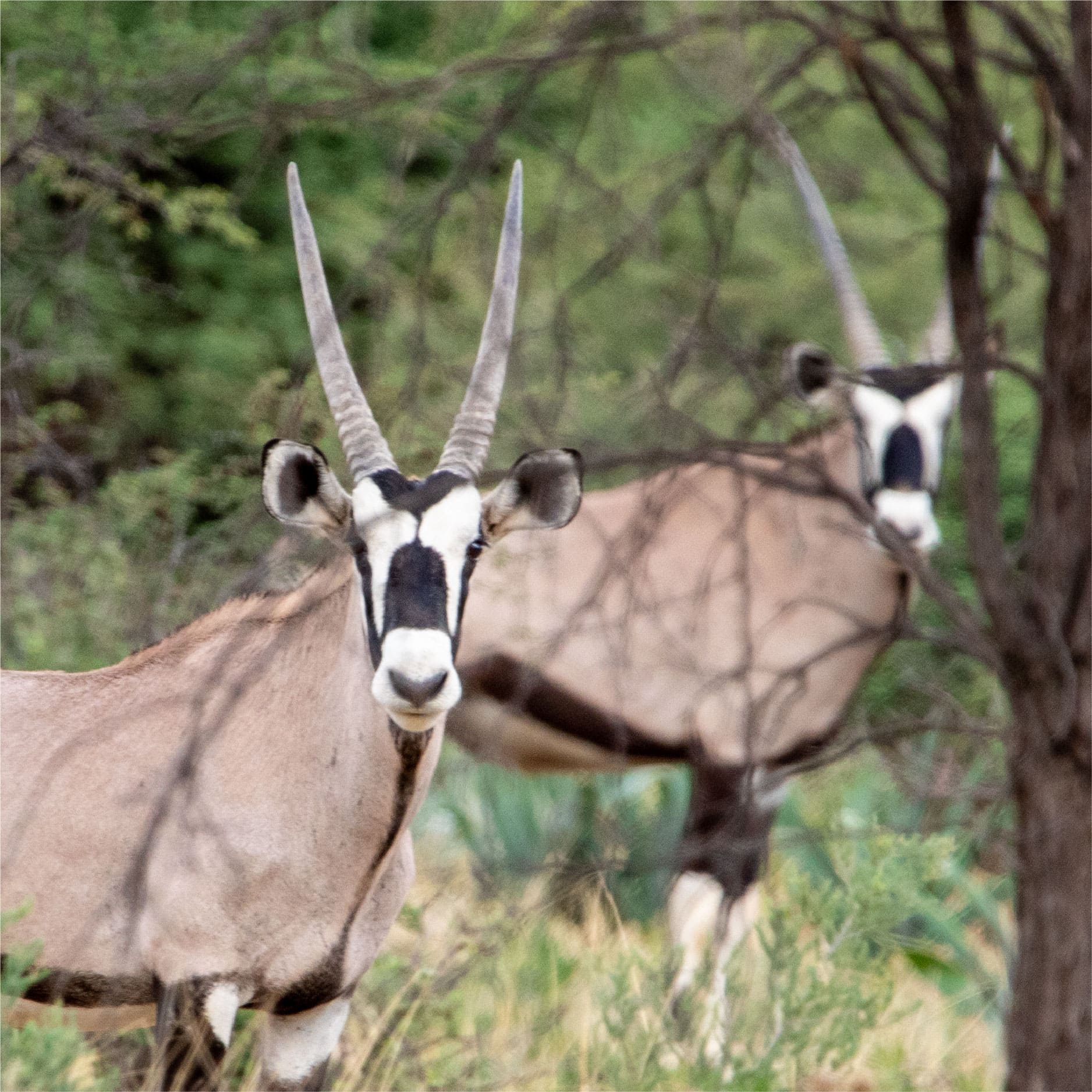 Klawerberg Gallery-31-08