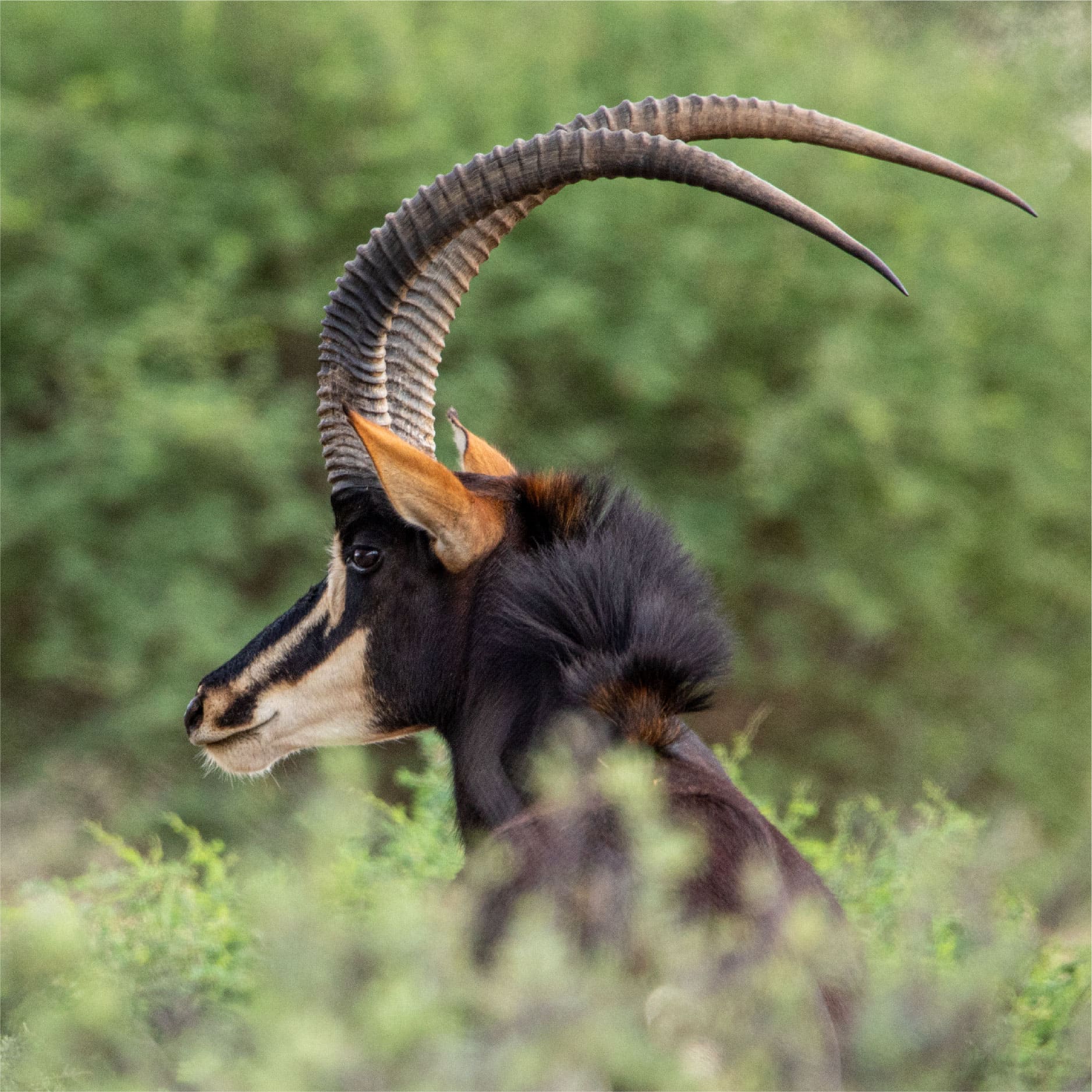 Klawerberg Gallery-31-09