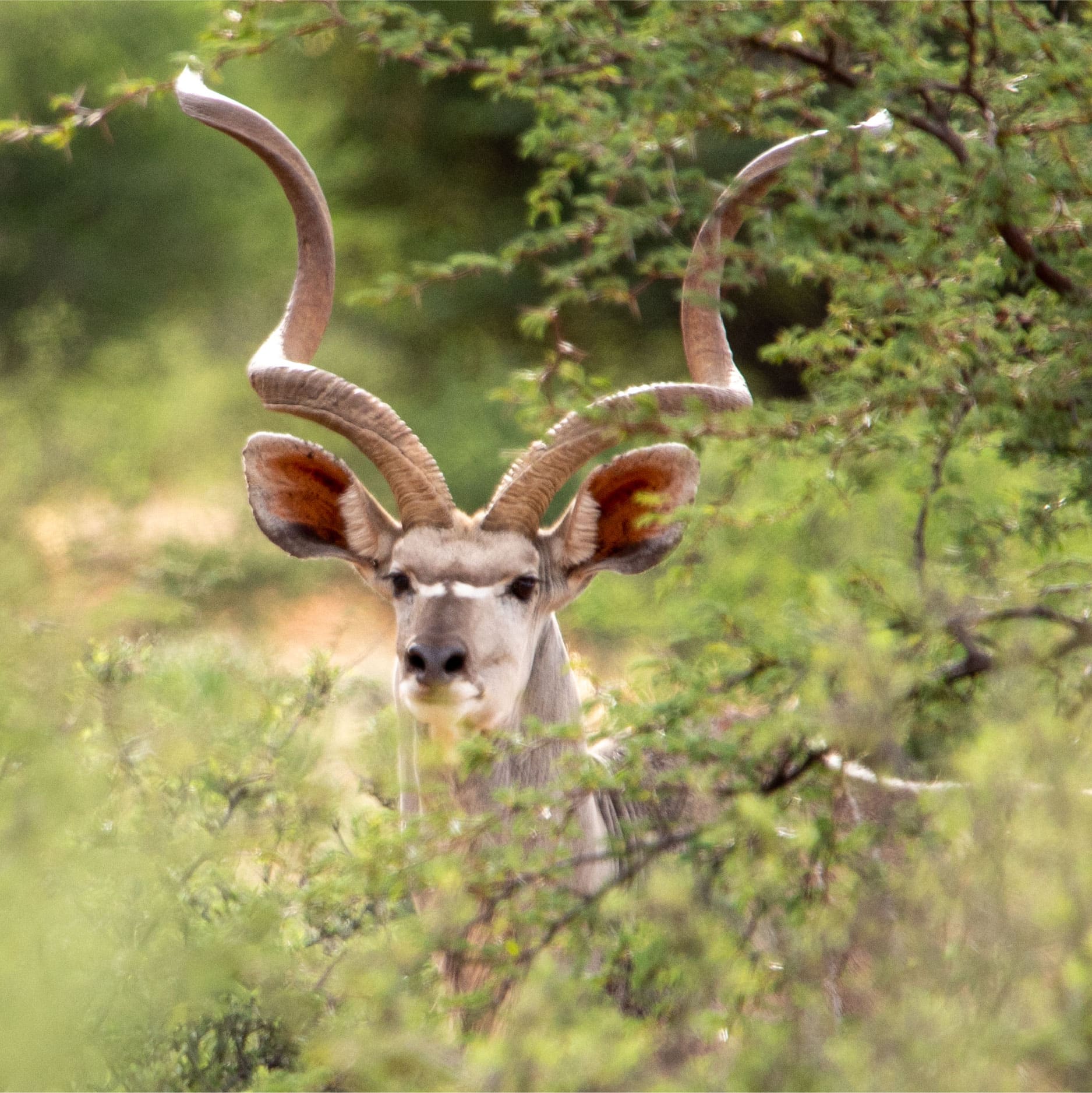 Klawerberg Gallery-31-13 2