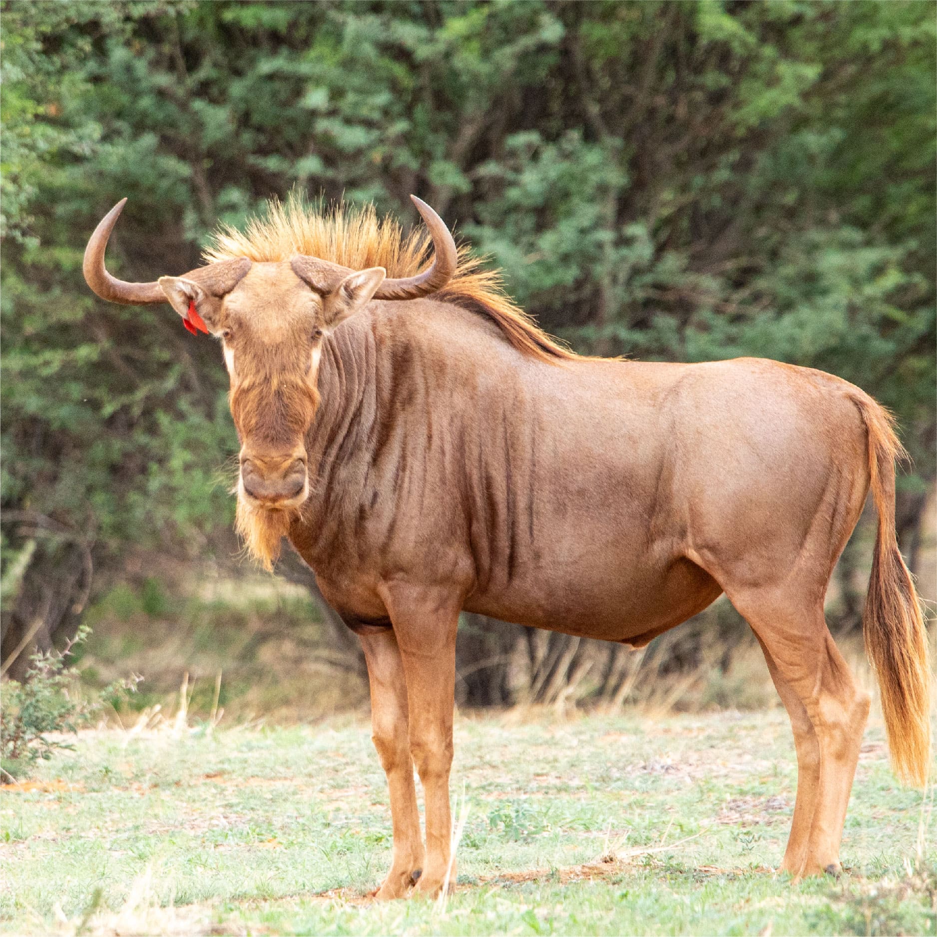 Klawerberg Gallery-31-14 2