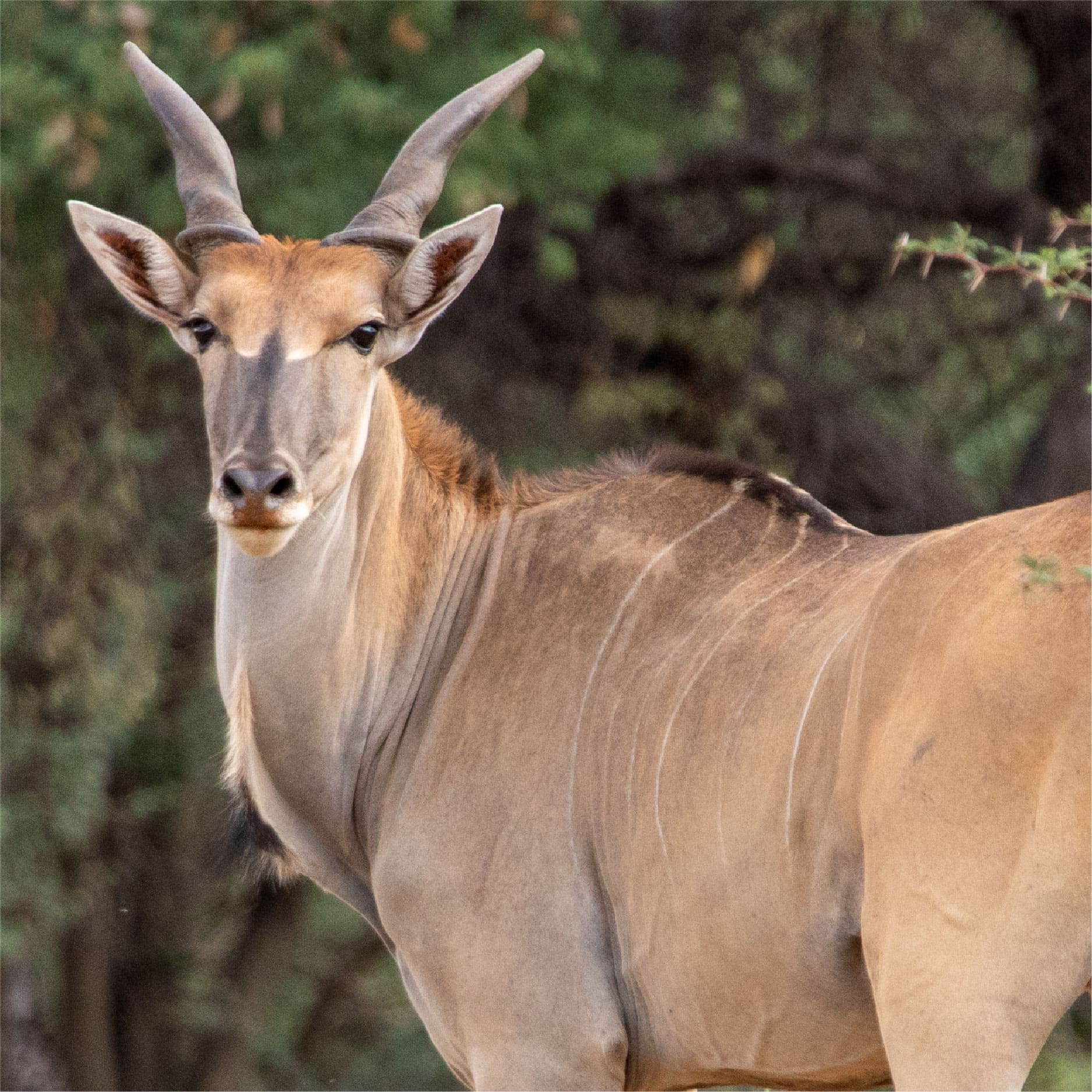 Klawerberg Gallery-31-15 2