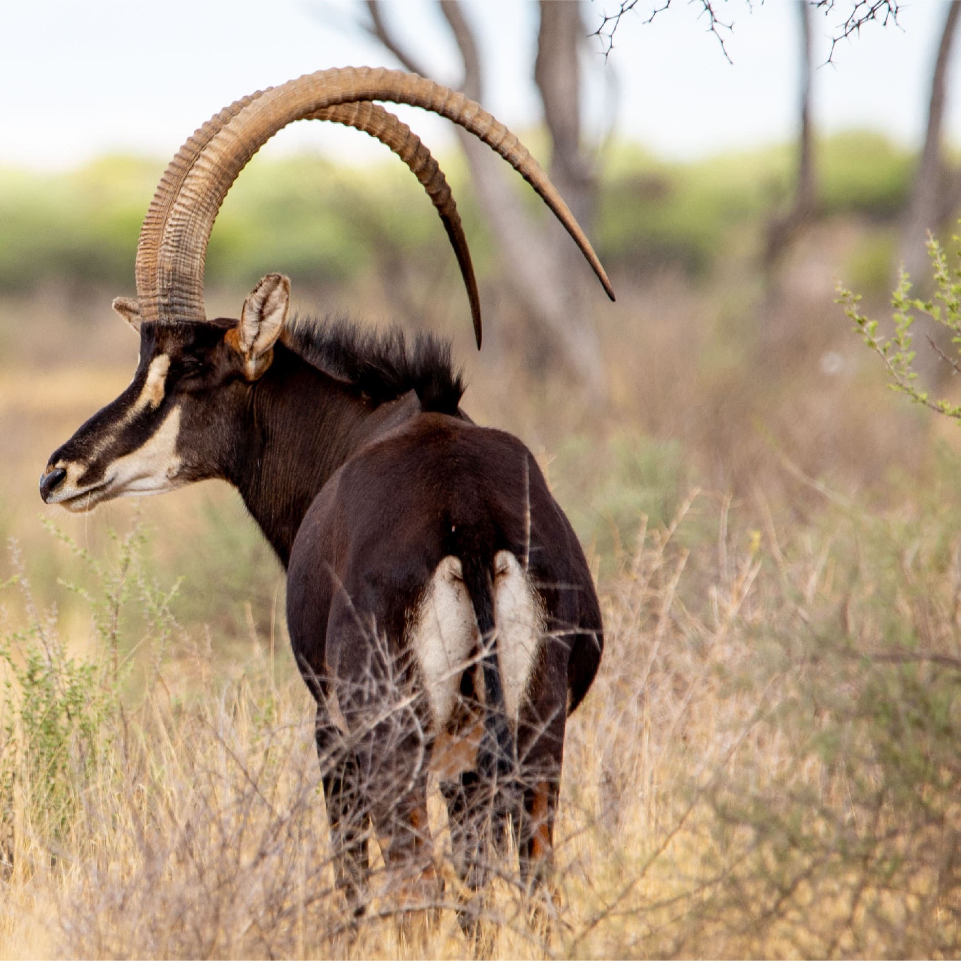 Klawerberg Gallery-31-16 2