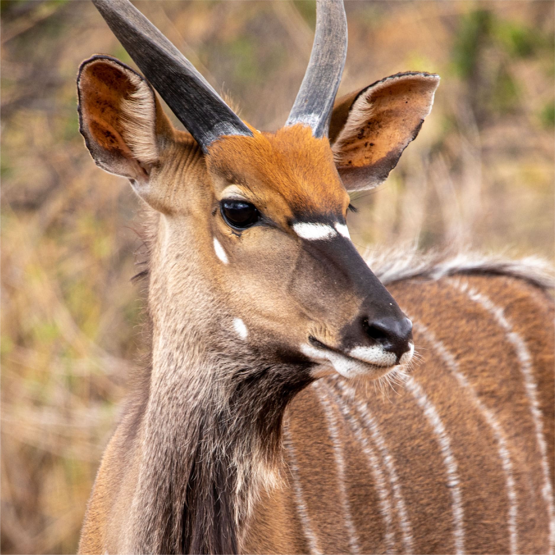 Klawerberg Gallery-31-17 2