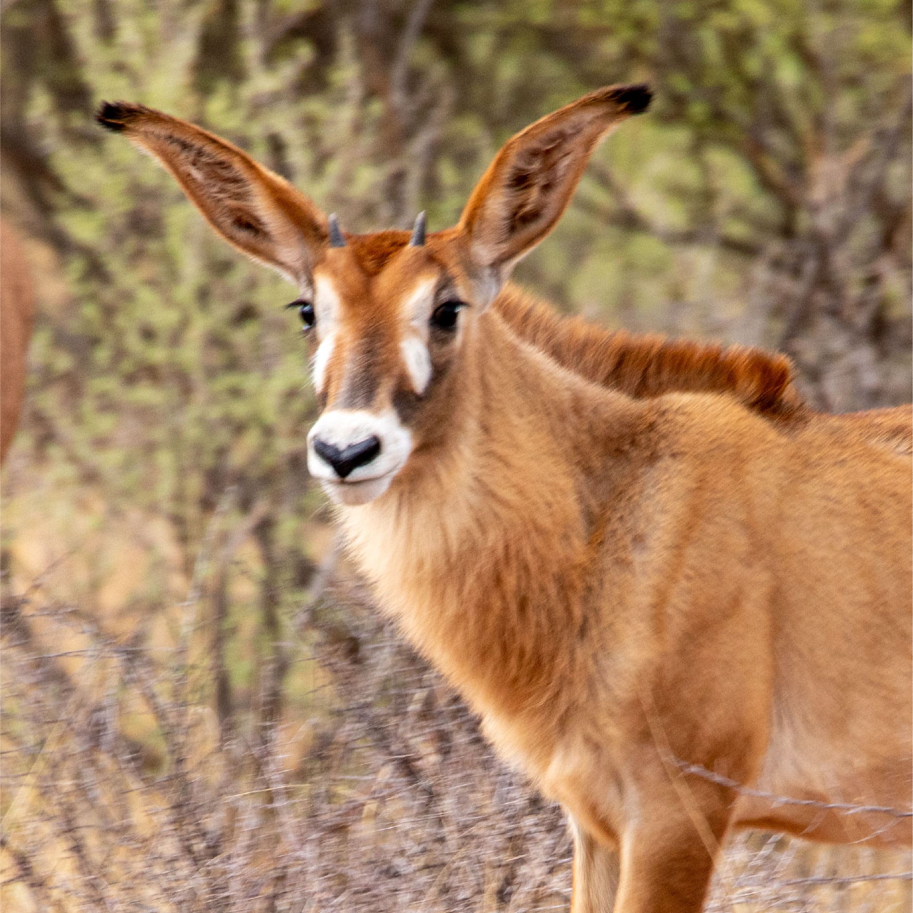 Klawerberg Gallery-31-24 2