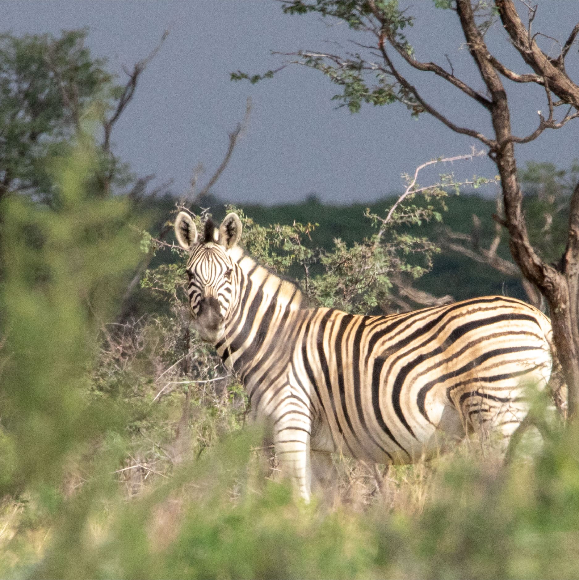 Klawerberg Gallery-31-25 2